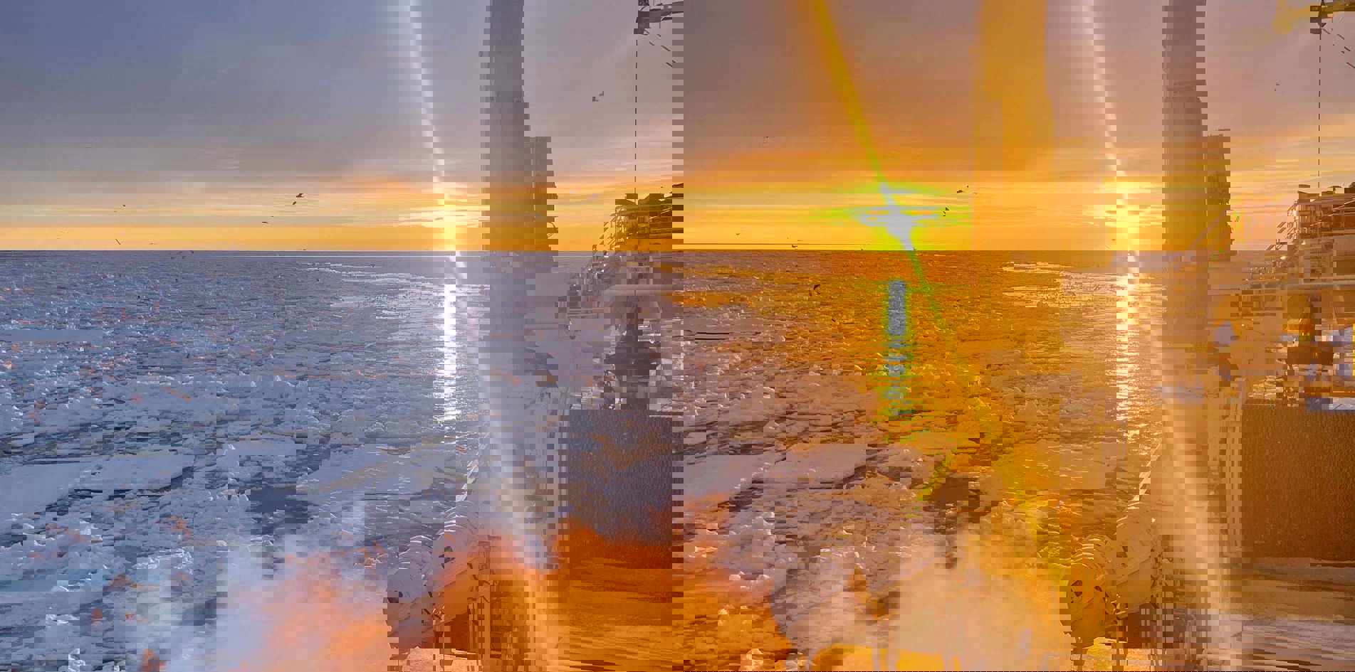 Carsoe Onboard Seafood Processing Frontpage Image